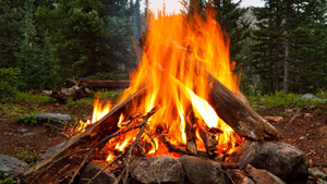 c_survival_campfire
